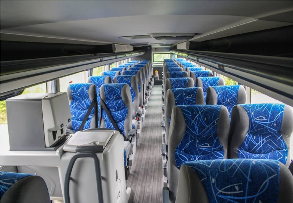 autobus o camion platinum chihuahuenses